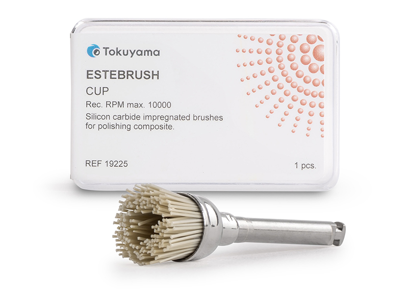 ESTEBRUSH