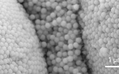 SEM-afbeelding (vergroting 20.000x) OMNICHROMA FLOW, TOKUYMA DENTAL