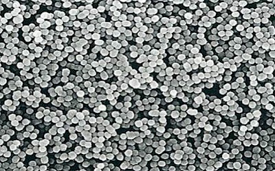 ESTELITE SIGMA QUICK (Tokuyama Dental)