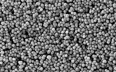 ESTELITE UNIVERSAL FLOW (Tokuyama Dental)