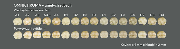 OMNICHROMA v umělých zubech: Grafické znázornění všech barev zubů před a po vytvrzení světlem